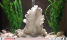 biorb colored seaweed decoration video